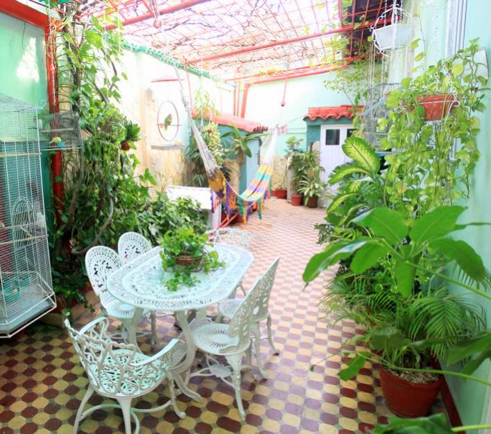 Inner courtyard with a hammock. Casa de Sra Olga Rivera in Santa Clara. Book it here: https://www.soulidays.com/en/house/Casa+Sra.+Olga+Rivera+-+Habitaci%C3%B3n+1-52573?numberOfGuests=2